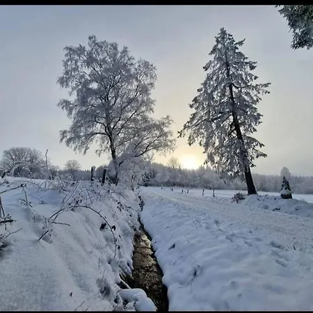 Le Grand Biseu 스타블로